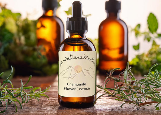 Chamomile Flower Essence